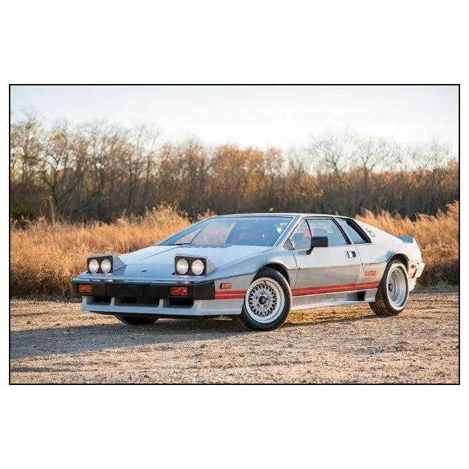 Classic Cars: A Century of Masterpieces ACC Art Books Ltd