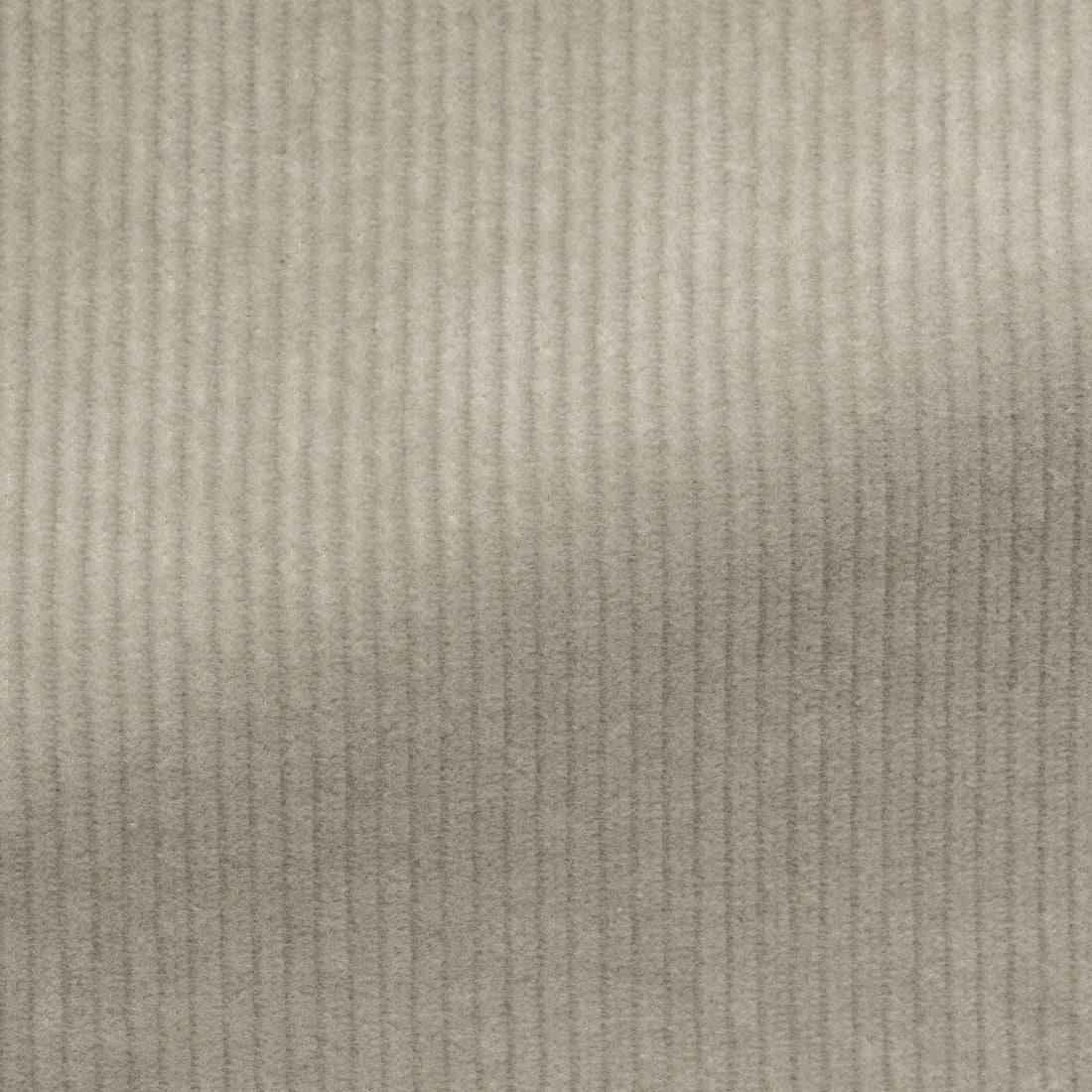 Suit - Bone Stretch Cotton Corduroy 5918 OMJ Clothing