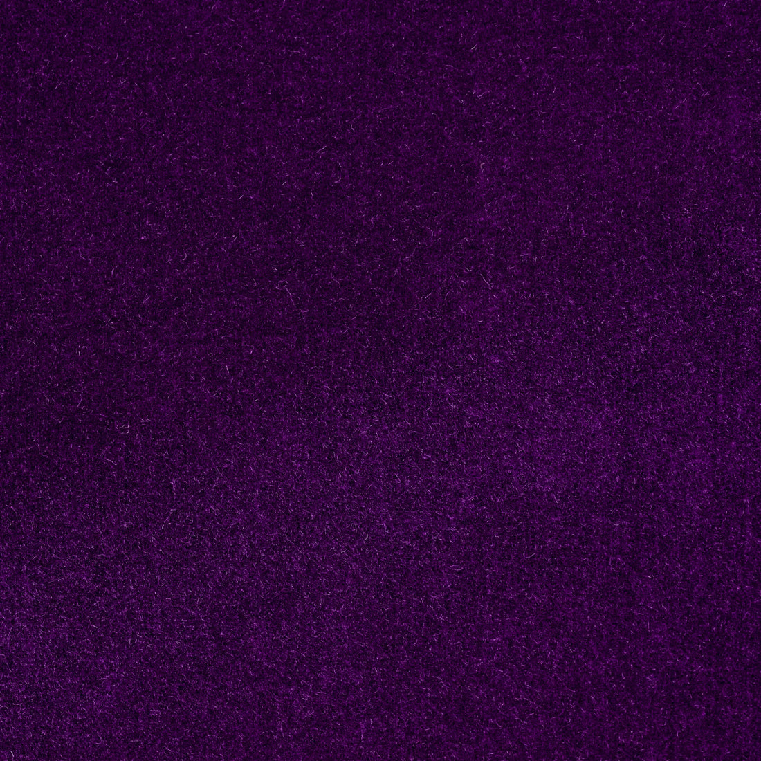 Sport Coat - Purple Stretch Cotton Velvet 9096 OMJ Clothing